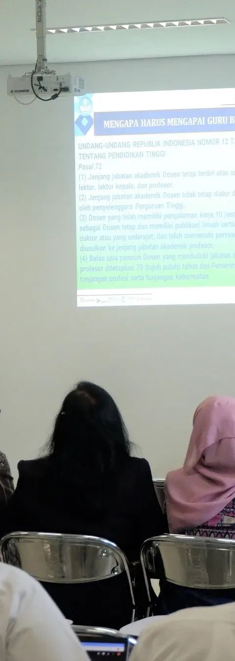 FIB UDINUS MOTIVASI PARA DOSEN RAIH JENJANG TERTINGGI TRI DHARMA PERGURUAN TINGGI