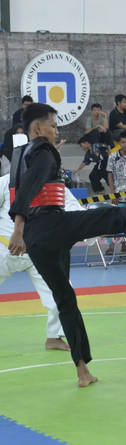 Kejuaraan Pencak Silat Championship III Udinus: Mencari Bibit Unggul Atlet Muda