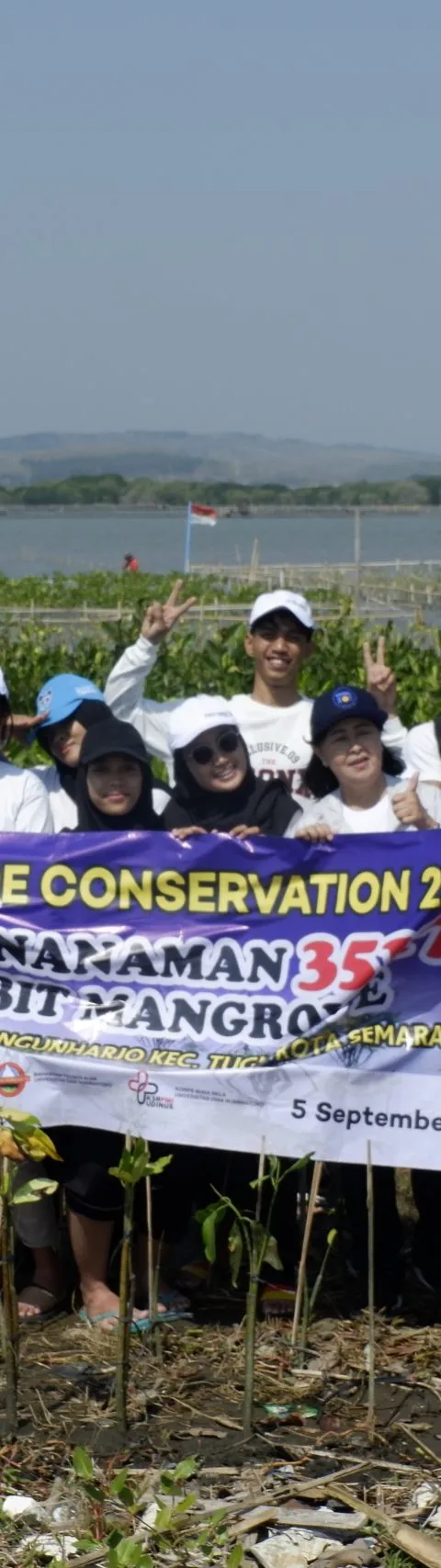 PEDULI PESISIR KOTA SEMARANG, MABA UDINUS TANAM RIBUAN BIBIT MANGROVE