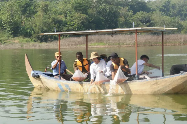 Penyebaran 12.000 Benih Ikan Nila, Ajarkan Rasa Peduli Mahasiswa Baru Dinus Inside 2025 Terhadap Lingkungan
