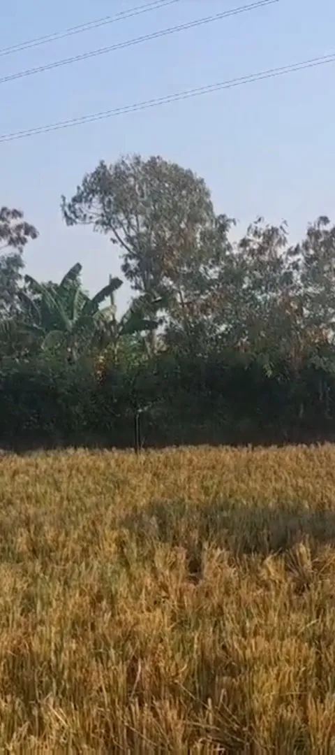 TINGKATKAN PEREKONOMIAN PETANI DI PODOREJO, PPKO HM KESMAS UDINUS RANCANG ‘MENDALIMA’
