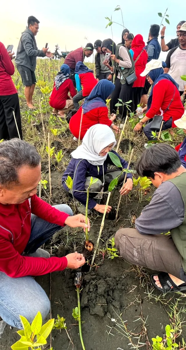 HM Sisfo Udinus Gelar Aksi Penanaman Mangrove Bersama Warga