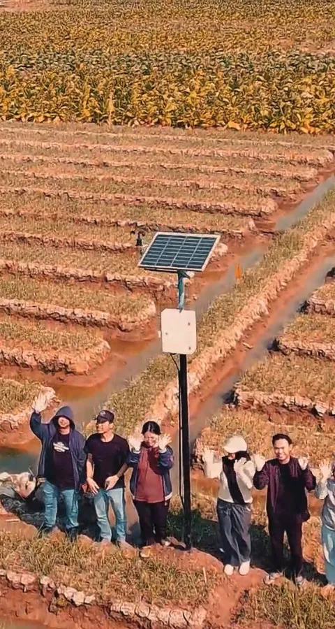Tim PPKO KSPM Udinus Kembangkan Inovasi Smart Farming, Jawab Permasalahan Petani Bawang Merah di Desa Pamriyan