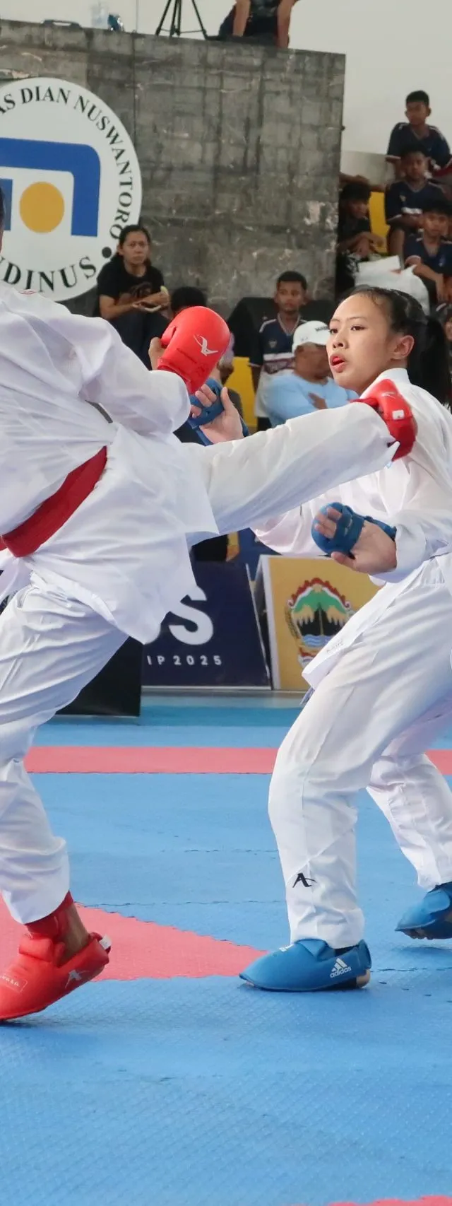 650 Atlet Muda Cabor Karate Sukses Ikuti Piala Rektor Udinus Karate Championship 2025