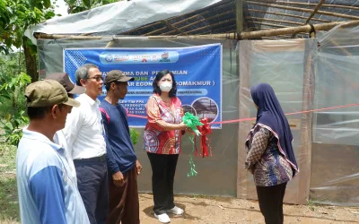 LEWAT PPK ORMAWA, BEM FIK UDINUS TINGKATKAN PEREKONOMIAN WARGA SIDOMAKMUR