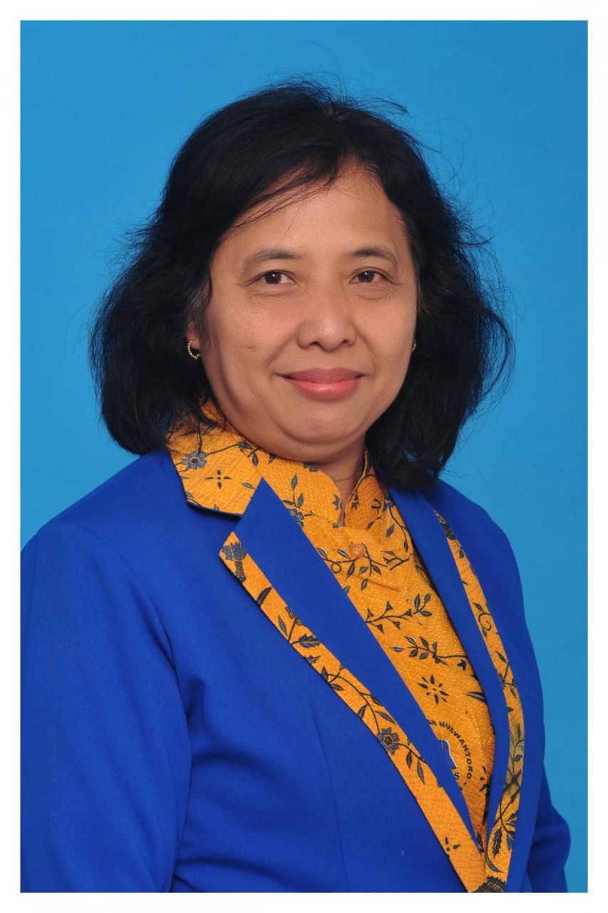 Prof. Dr. Ir. Edi Noersasongko, M.Kom.