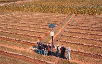 Tim PPKO KSPM Udinus Kembangkan Inovasi Smart Farming, Jawab Permasalahan Petani Bawang Merah di Desa Pamriyan