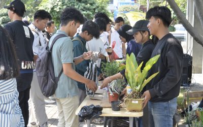 Maba Udinus Antusias Ikuti Dinus Inside 2024, Ribuan Sembako dan Tanaman Hias Sudah Terkumpul