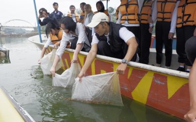 Penyebaran 20.000 Benih Ikan Nila pada Dinus Inside Tingkatkan Rasa Peduli Maba Terhadap Lingkungan